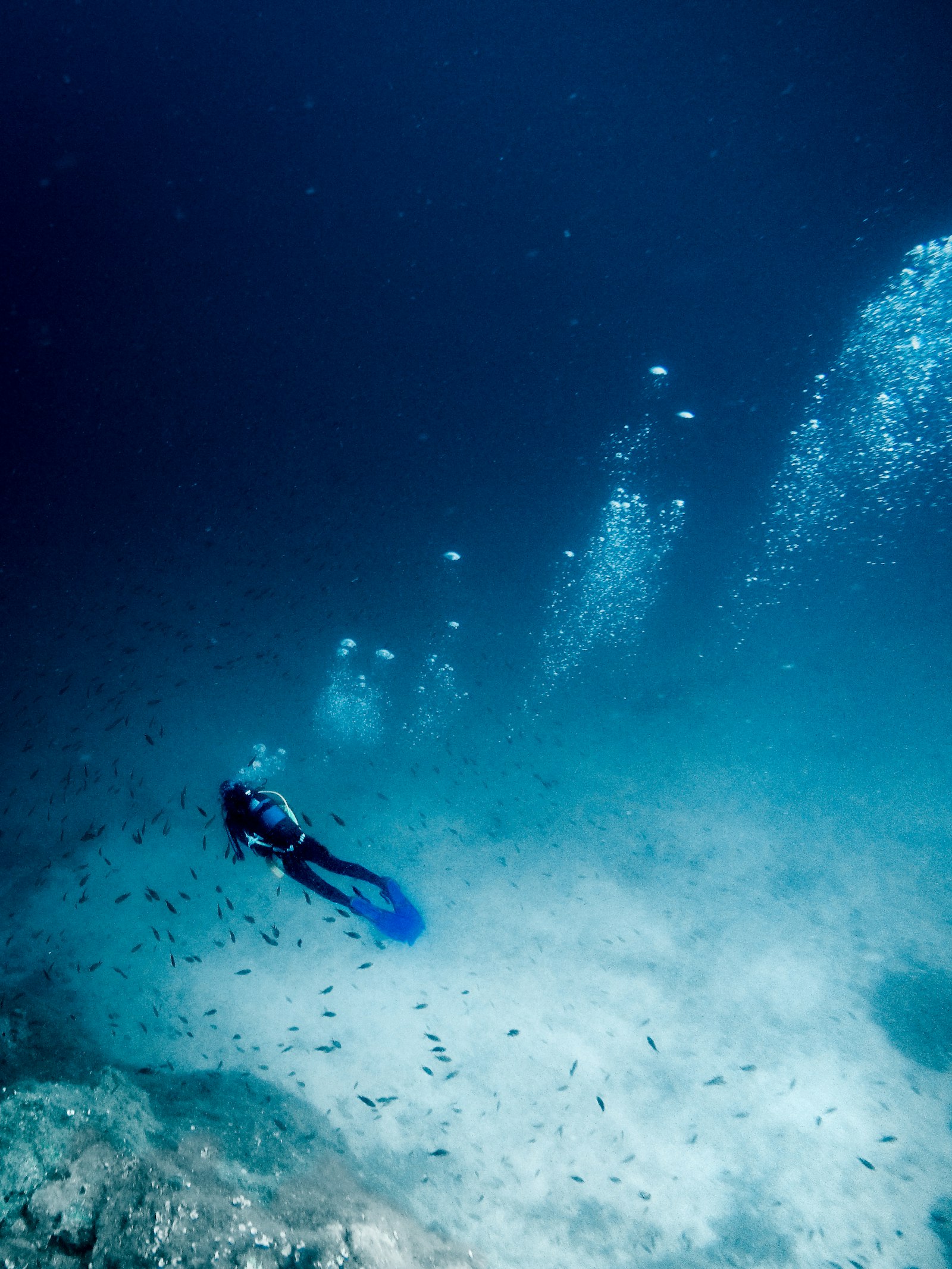 Plongée sous-marine avec Skualo