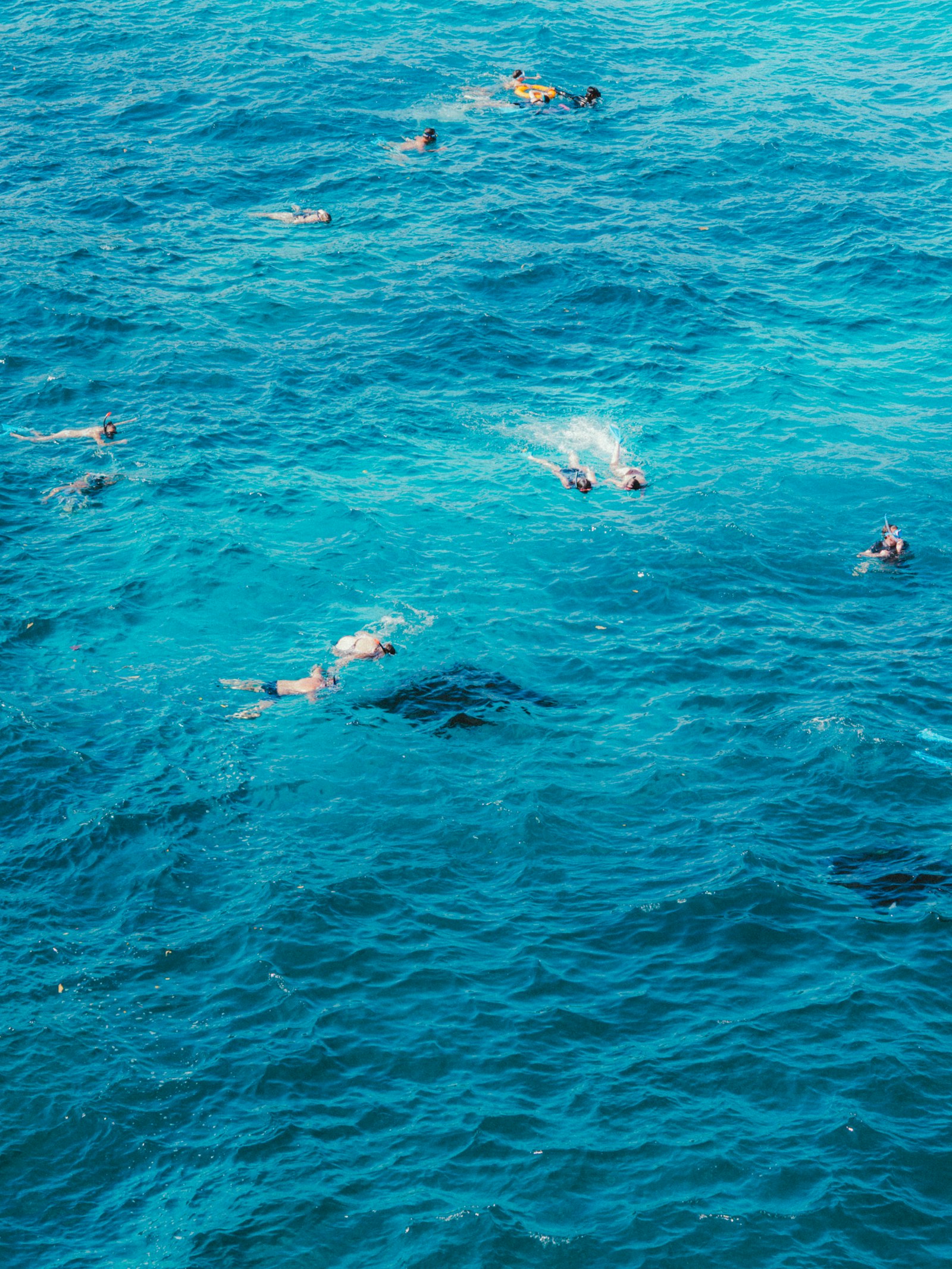 Excursion en Bateau au Parc Naturel et Snorkeling avec Skualo